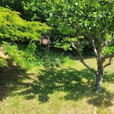 Holiday home La Petite Maison Le Trait